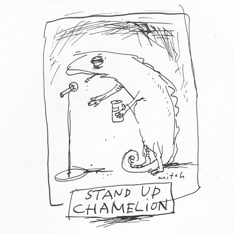Stand up Chamelion